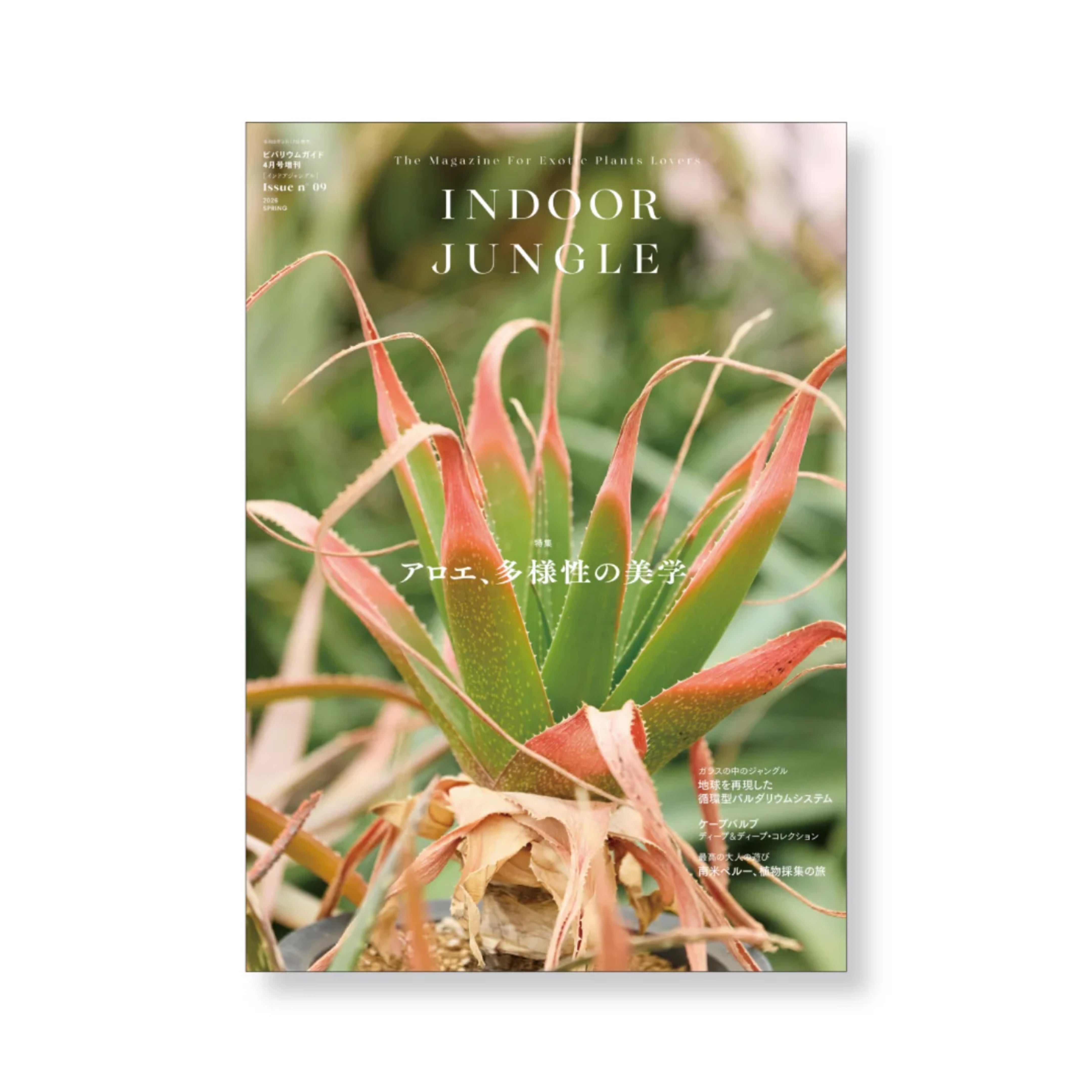 INDOOR JUNGLE 02 2024 Spring インドアジャングル 📣〜本日発売！／ 『INDOOR JUNGLE（インドアジャングル）Issue no.03