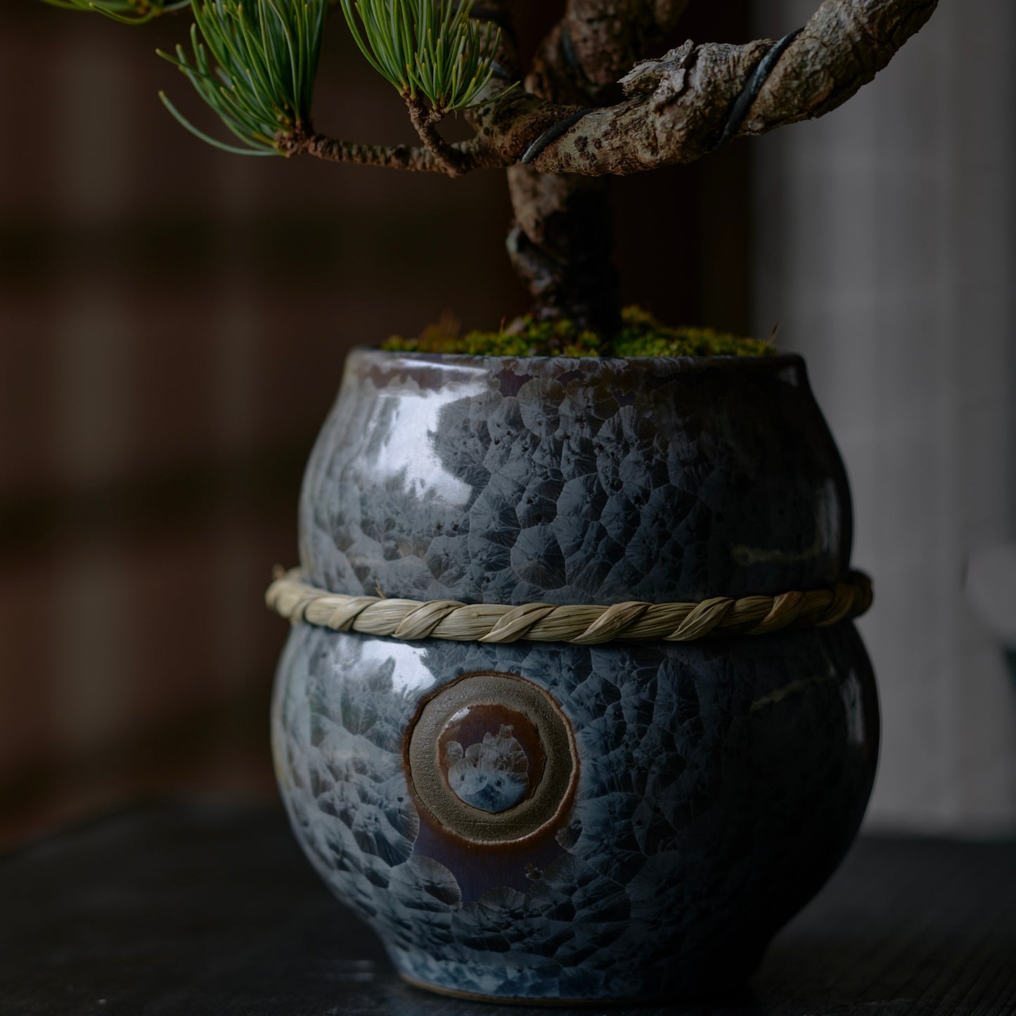 㘴 -SOZORO- Black glaze (S)