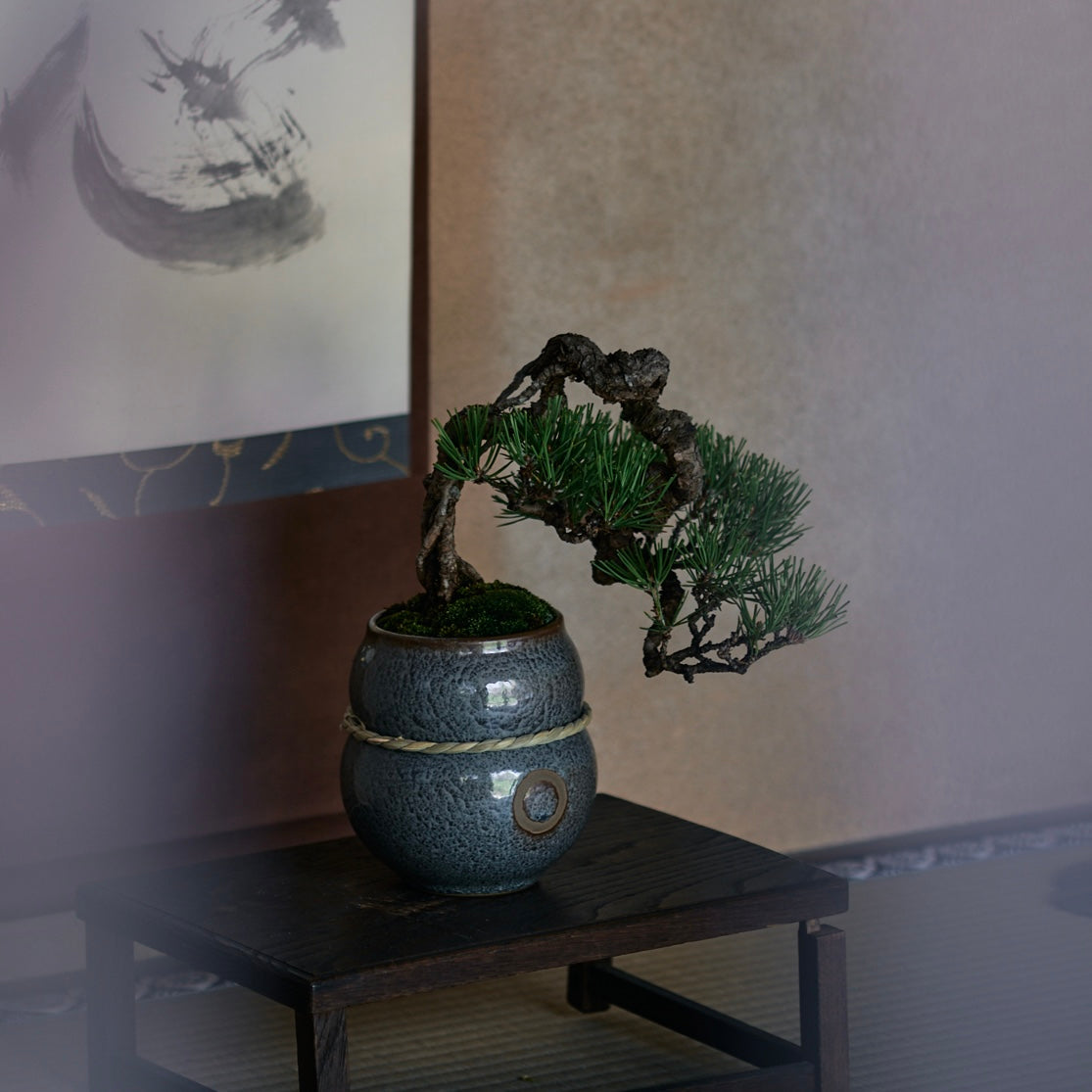 -SOZORO- Black glaze (S)