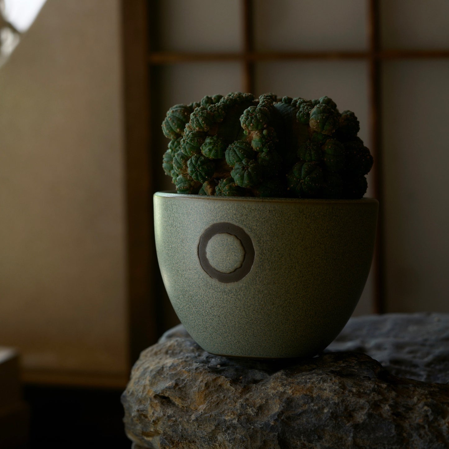 円 -MADOKA- Black Glaze (S)