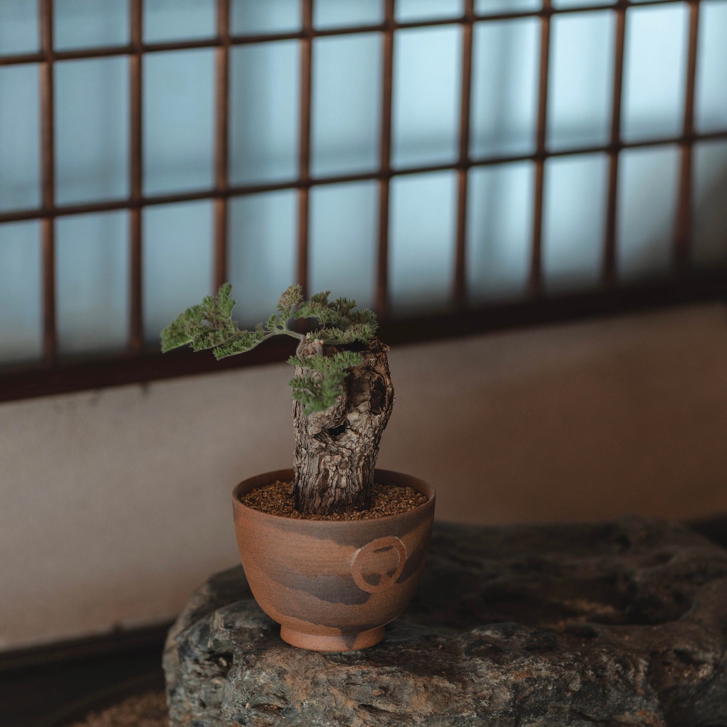 円 -MADOKA- 雲霞連峰(荒木秀樹)