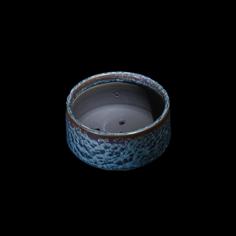 Rikyu -RIKYU- Blue Scales (S)