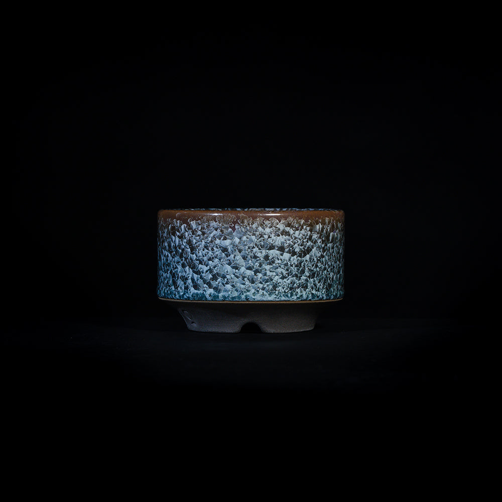 Rikyu -RIKYU- Blue Scales (S)