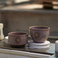 利休 -RIKYU- 藤鱗 (S)
