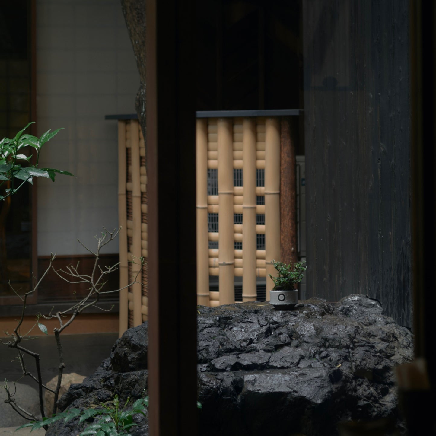 利休 -RIKYU- 白寂 (S)