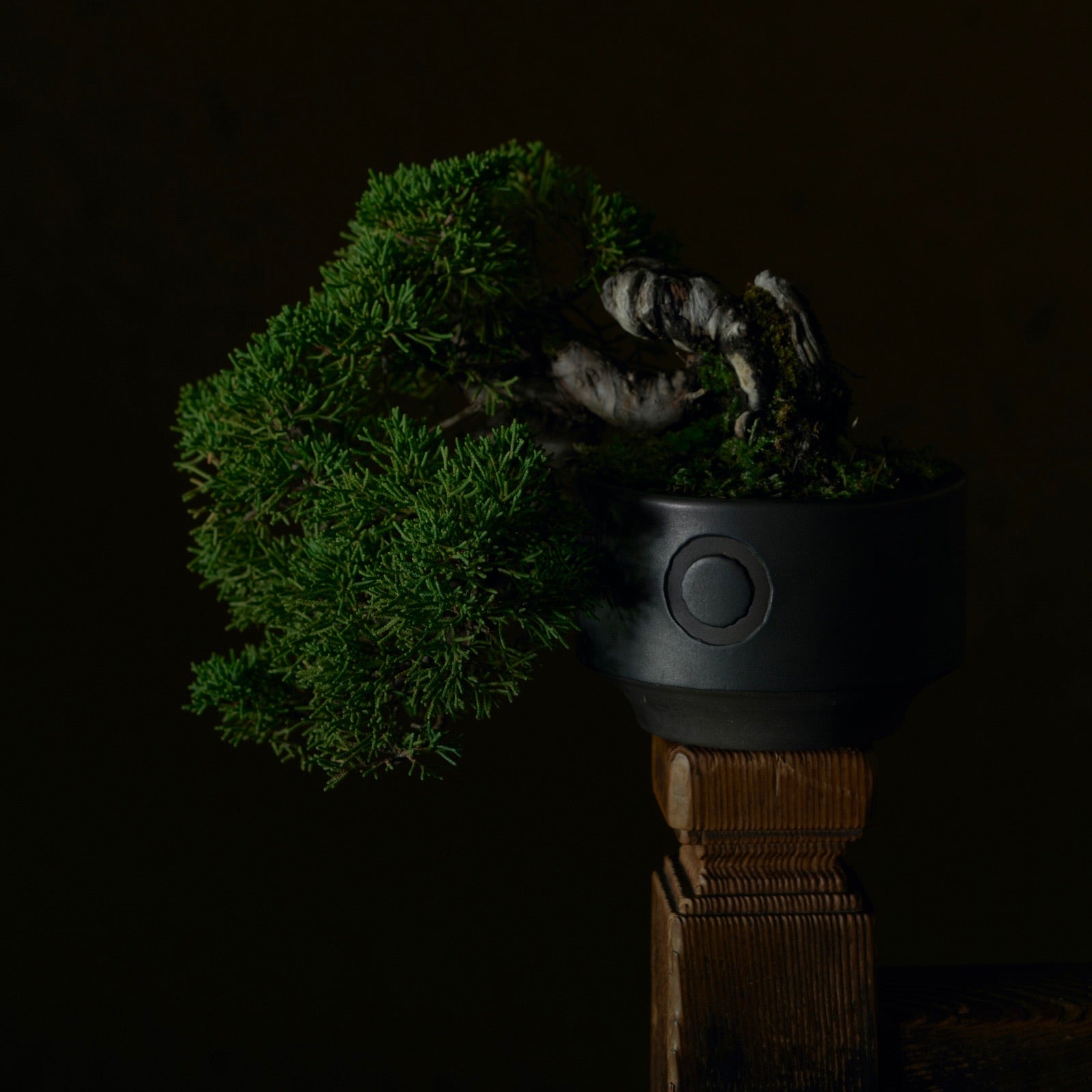 QUTOTEN. 鉢 「利休」「㘴」 利休 -RIKYU- Black glaze S size | QUTOTEN.