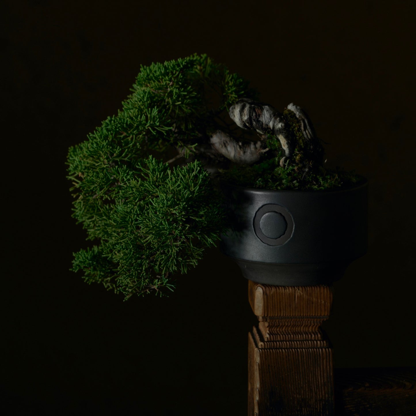 利休 -RIKYU- 黒々釉 (S)