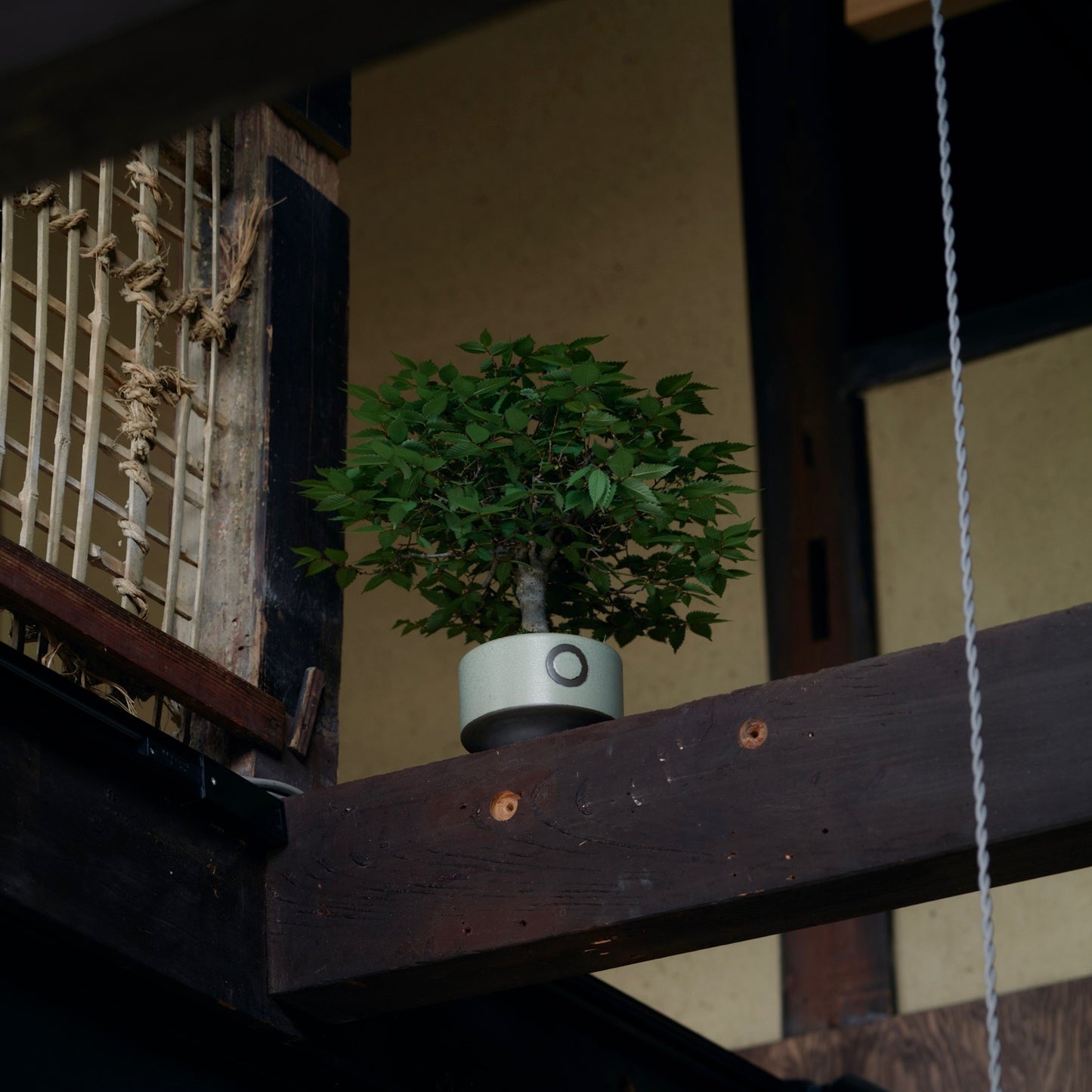 利休 -RIKYU- 緑釉 (S)