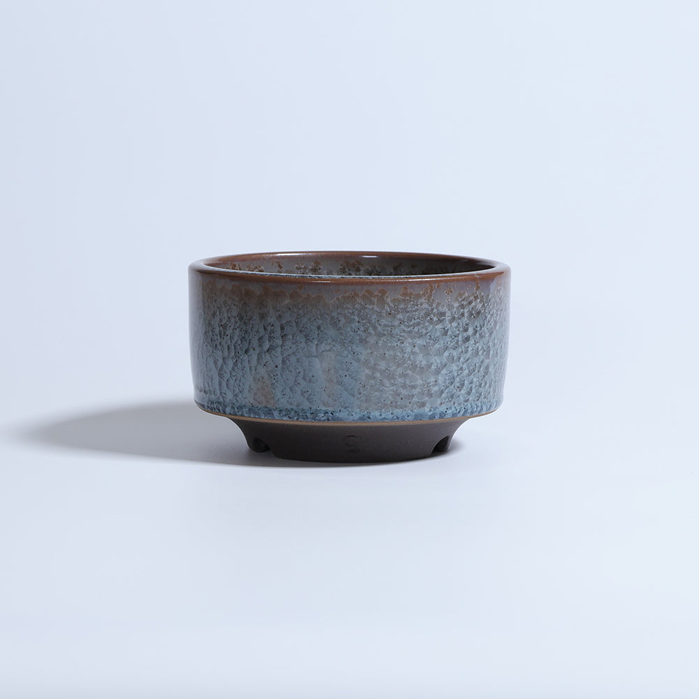 利休 -RIKYU- 蒼鱗 (M)