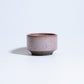 利休 -RIKYU- 藤鱗 (S)