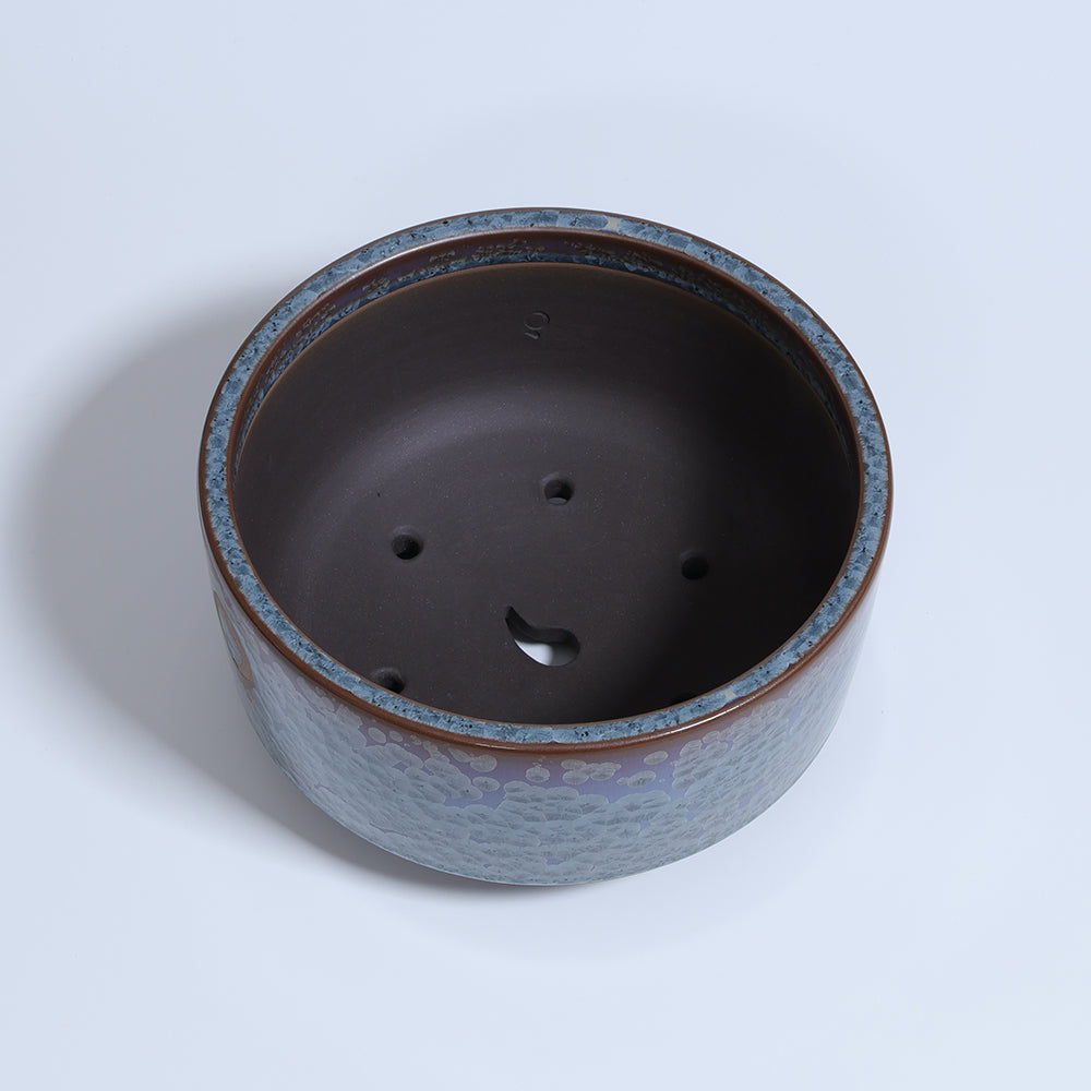 Rikyu -RIKYU- Blue Scales (S) 