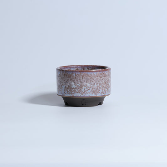 利休 -RIKYU- 藤鱗 (XS)